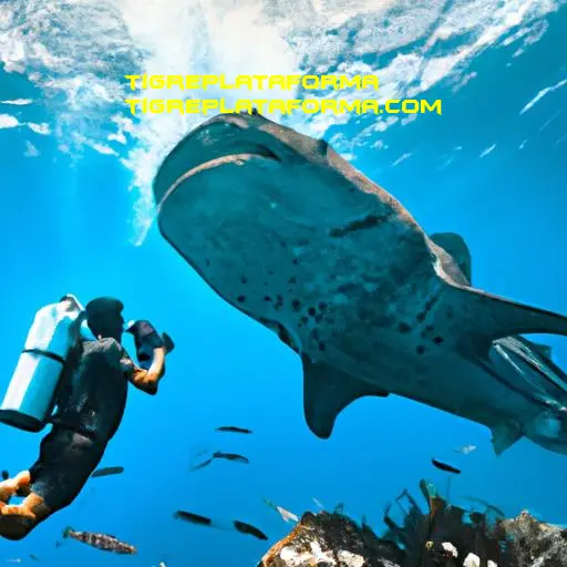 inovação educativa